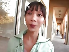 Miako آسیایی بالغ